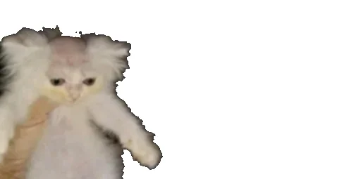😹 Стикер «Little Kitties» для Telegram