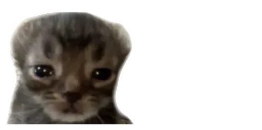 ❤️ Стикер «Little Kitties» для Telegram