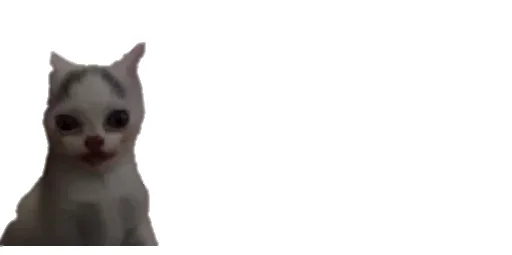 😹 Стикер «Little Kitties» для Telegram