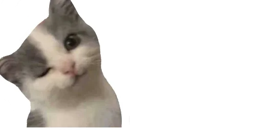 😉 Стикер «Little Kitties» для Telegram