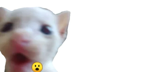😹 Стикер «Little Kitties» для Telegram