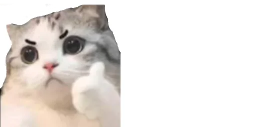 😤 Стикер «Little Kitties» для Telegram