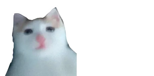 😹 Стикер «Little Kitties» для Telegram