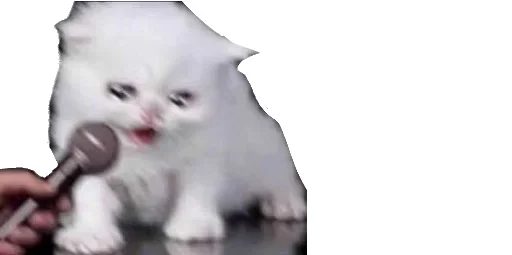 😹 Стикер «Little Kitties» для Telegram