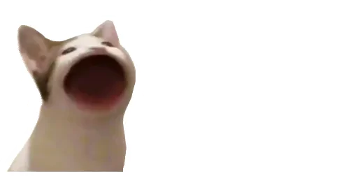 😹 Стикер «Little Kitties» для Telegram