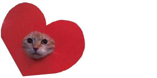 😹 Стикер «Little Kitties» для Telegram