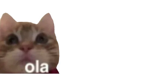 😹 Стикер «Little Kitties» для Telegram