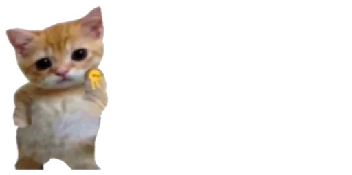 😹 Стикер «Little Kitties» для Telegram