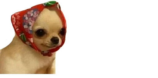 😹 Стикер «Little Kitties» для Telegram