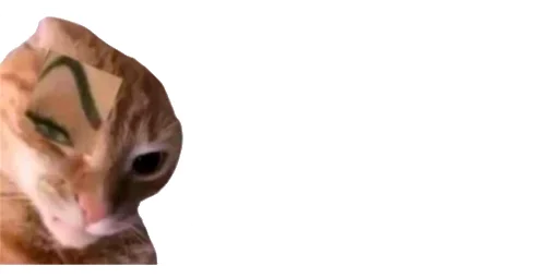 😹 Стикер «Little Kitties» для Telegram