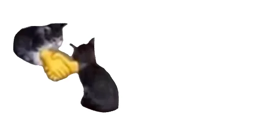 😹 Стикер «Little Kitties» для Telegram
