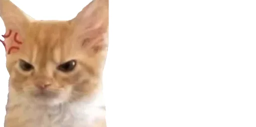 😹 Стикер «Little Kitties» для Telegram