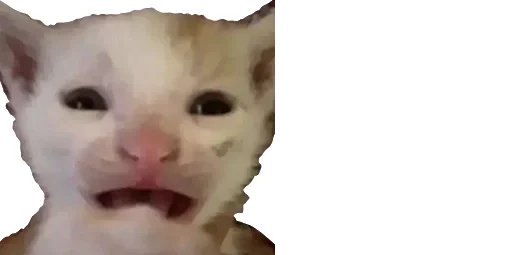 😹 Стикер «Little Kitties» для Telegram