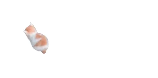 😹 Стикер «Little Kitties» для Telegram