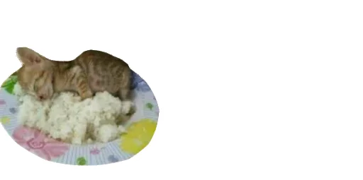 🍌 Стикер «Little Kitties» для Telegram