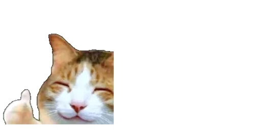 😹 Стикер «Little Kitties» для Telegram