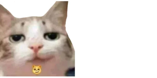 😹 Стикер «Little Kitties» для Telegram