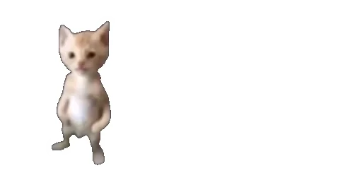 😹 Стикер «Little Kitties» для Telegram