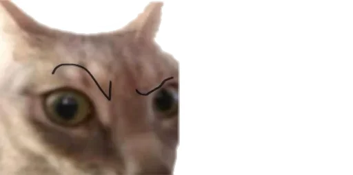 😳 Стикер «Little Kitties» для Telegram