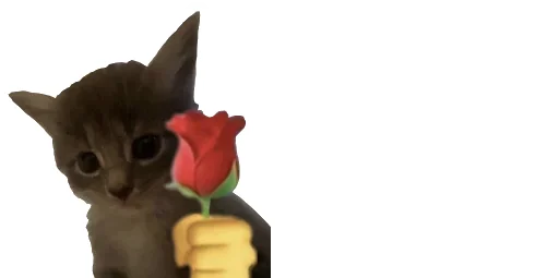🌻 Стикер «Little Kitties» для Telegram