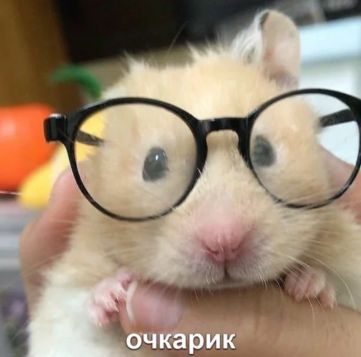 👓 Стикер «Мышиные мордахи ?» для Telegram