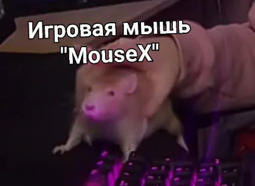 😱 Стикер «Мышиные мордахи ?» для Telegram