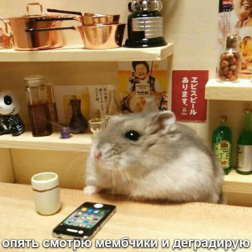 😎 Стикер «Мышиные мордахи ?» для Telegram
