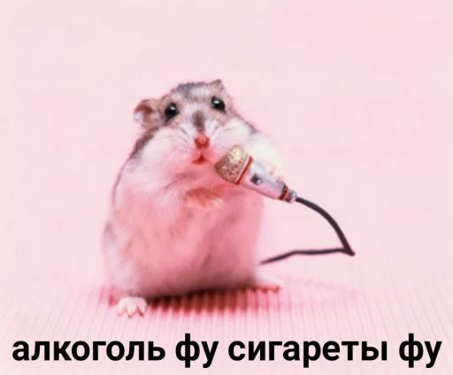 👌 Стикер «Мышиные мордахи ?» для Telegram