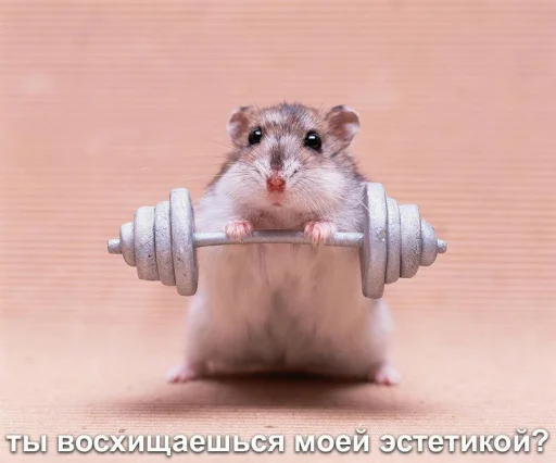🧐 Стикер «Мышиные мордахи ?» для Telegram