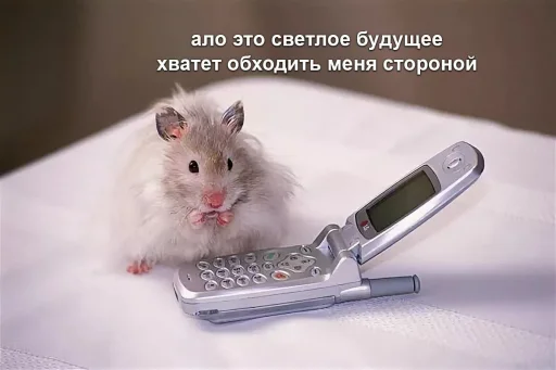 🤔 Стикер «Мышиные мордахи ?» для Telegram