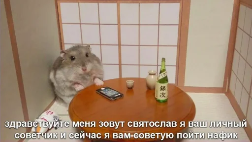 🖤 Стикер «Мышиные мордахи ?» для Telegram