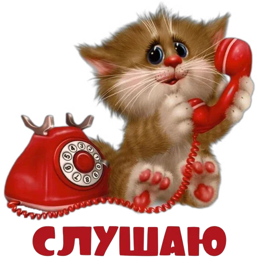 🐱 Стикер «Понемногу обо всем» для Telegram