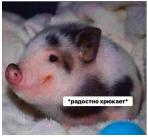 😉 Стикер «_lizaschka_» для Telegram