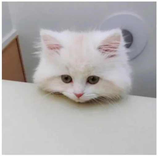 🙃 Стикер «_lizaschka_» для Telegram
