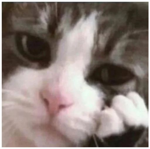 😔 Стикер «_lizaschka_» для Telegram