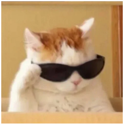 😎 Стикер «_lizaschka_» для Telegram
