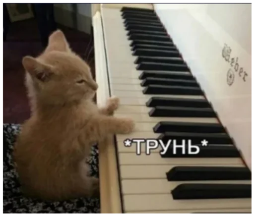 💅 Стикер «_lizaschka_» для Telegram