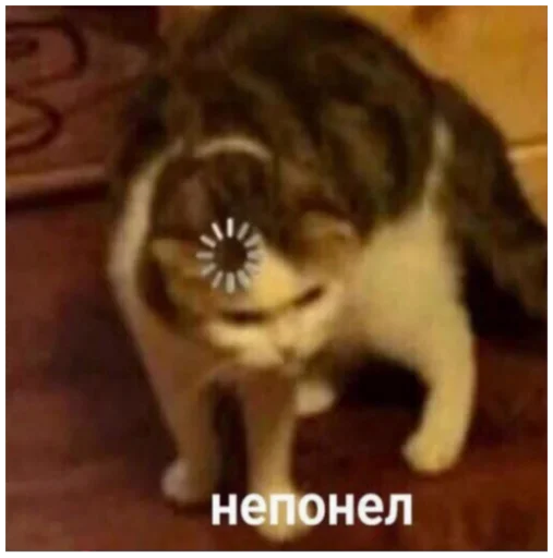 🗿 Стикер «_lizaschka_» для Telegram