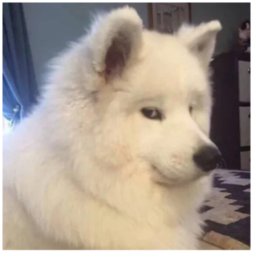 😏 Стикер «_lizaschka_» для Telegram
