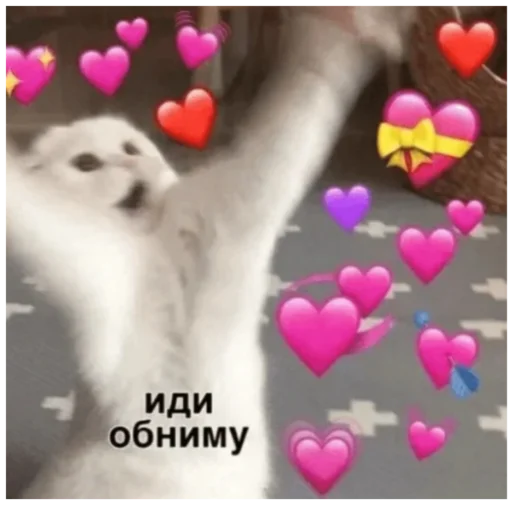 ❤️ Стикер «_lizaschka_» для Telegram