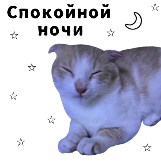 😴 Стикер «LIZER» для Telegram