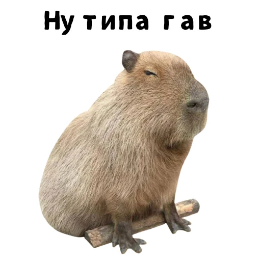 🦫 Стикер «LIZER» для Telegram