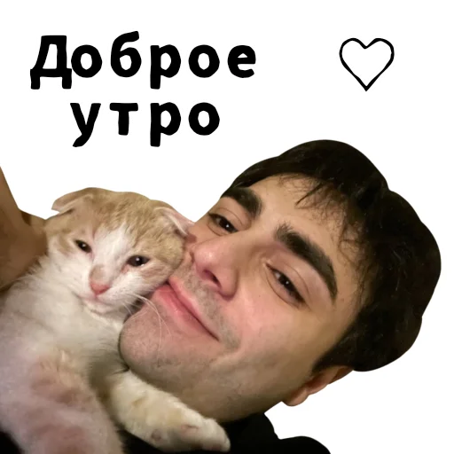 🌄 Стикер «LIZER» для Telegram