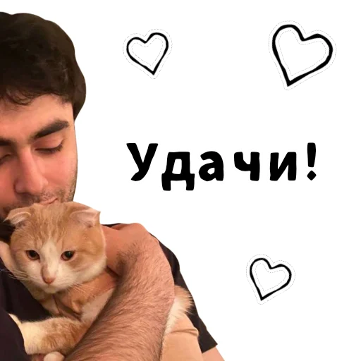 ❤️ Стикер «LIZER» для Telegram