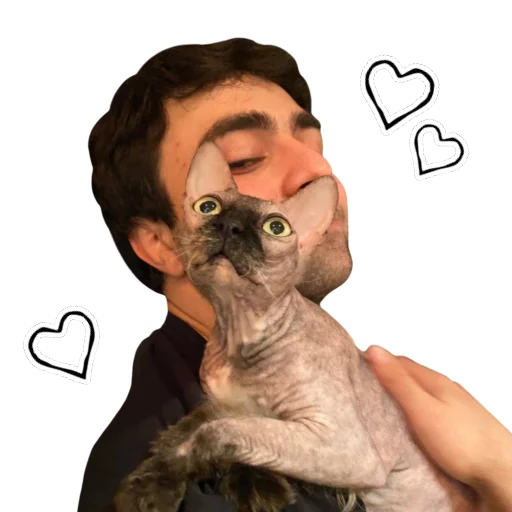 🖤 Стикер «LIZER» для Telegram