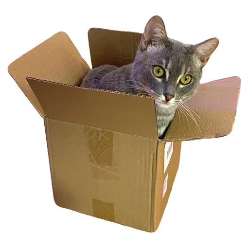 😼 Стикер «Лизка и Глебикс» для Telegram