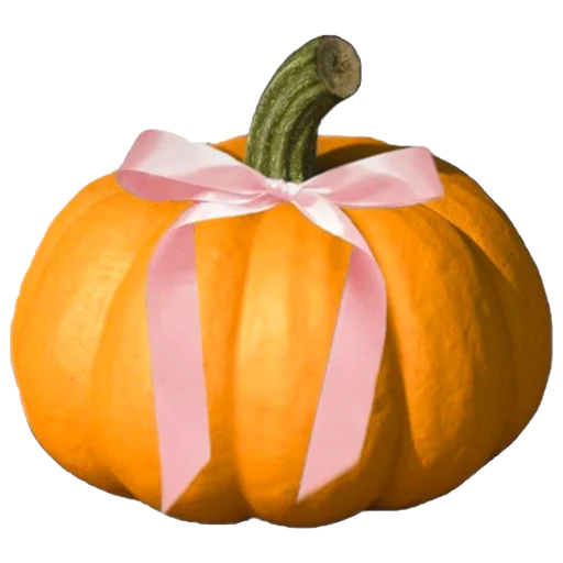 🎃 Стикер «Лизка и Глебикс» для Telegram