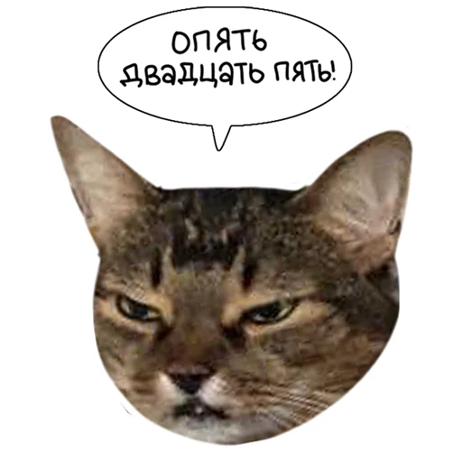 😠 Стикер «Laksheri_realkotaksheri» для Telegram