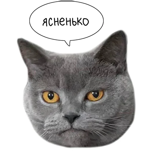 Стикерпак Laksheri_realkotaksheri для Telegram