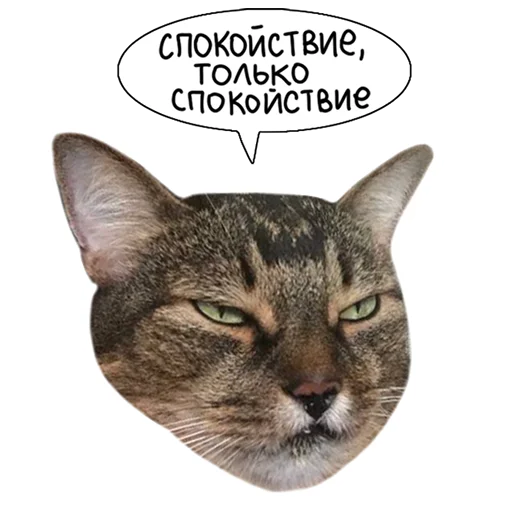 😶 Стикер «Laksheri_realkotaksheri» для Telegram
